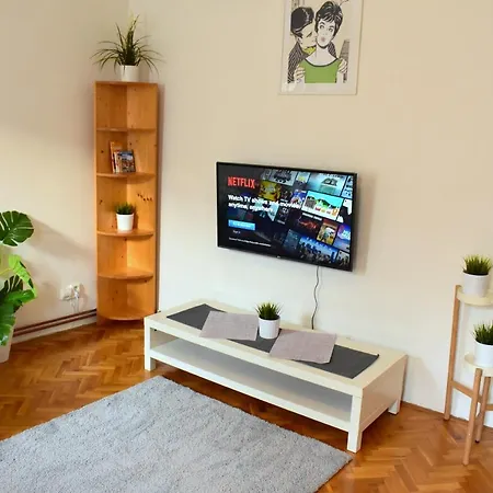Spacious City Centre Appartement *